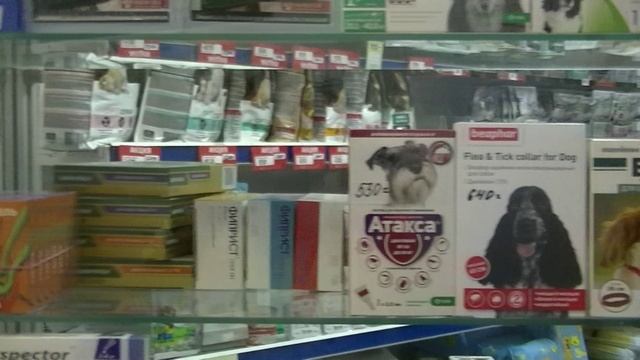 Ветеринарная аптека Бемби. Наличие препаратов в Июле 2023 смотреть онлайн