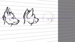 КАК НАРИСОВАТЬ МОРДУ ФУРРИ В РАЗНЫХ РАКУРСАХ