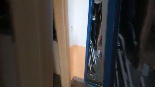 6 декабря 2023 г. смотреть онлайн