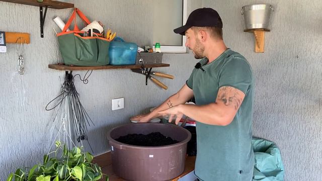 ESSA PLANTA PENDENTE é PERFEITA para ficar DENTRO DE CASA - FILODENDRO BRASIL | Henrique Buttler смотреть онлайн