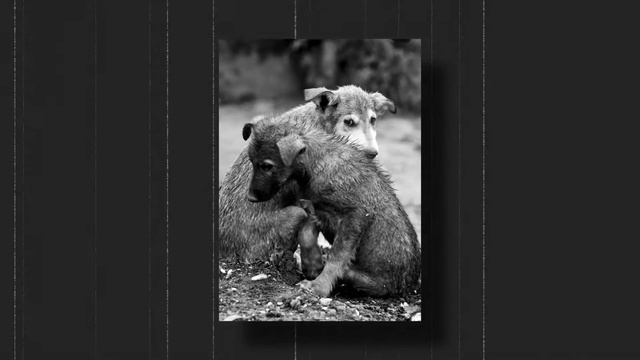 Задумайтесь, люди.... смотреть онлайн