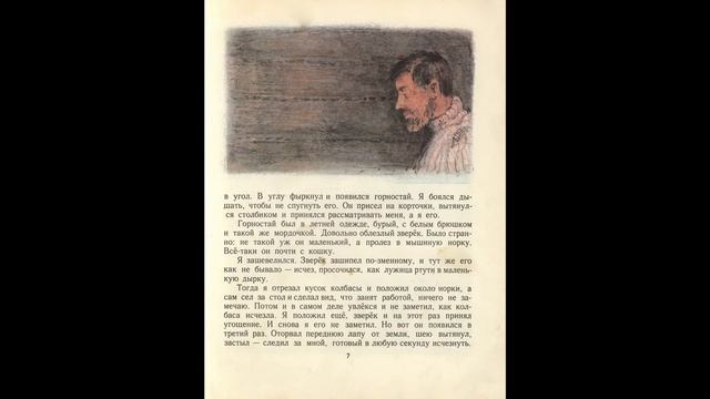 Митька (книжка-картинка для детей дошкольного возраста) смотреть онлайн
