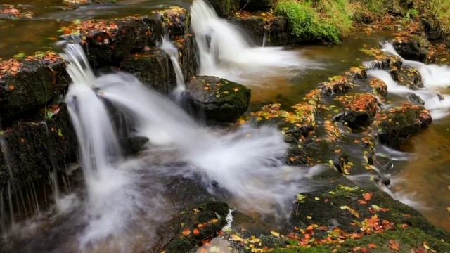 #водопад Водопад #waterfall Звук водопада . #природа #wildlife