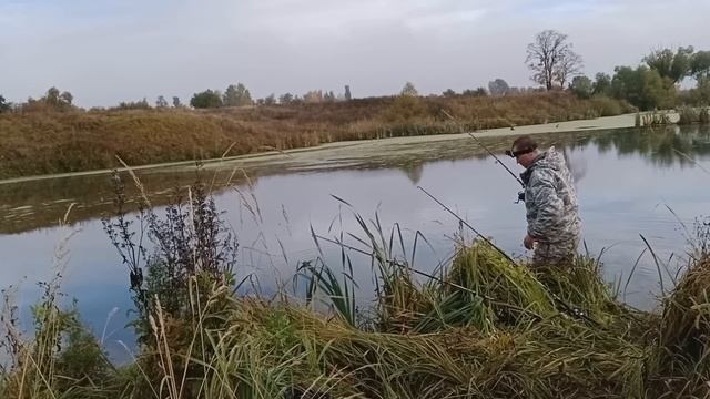 ЛОВЛЯ ЩУКИ НА ЖИВЦА. РЫБАЛКА НА ЩУКУ ПОПЛАВОЧНОЙ СНАСТЬЮ. смотреть онлайн