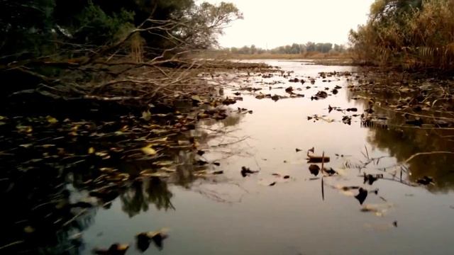 Самодельный болотоход смотреть онлайн