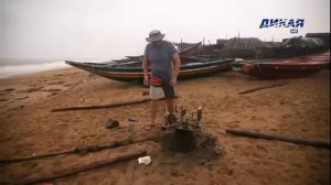 Дикая рыбалка HD