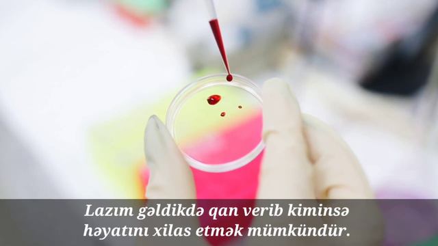 Qan qrupları haqqında bilmədiklərimiz 💉🔬 | Kitablarla İnkişaf Edək смотреть онлайн