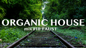 Organic House Mix #10 Faust