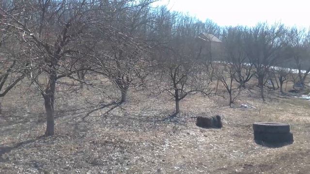 25.03 Пригород Харькова! Погода и САД ОТЦА смотреть онлайн