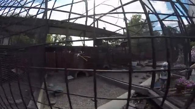 Московский зоопарк 8 августа 2017 / Moscow Zoo смотреть онлайн