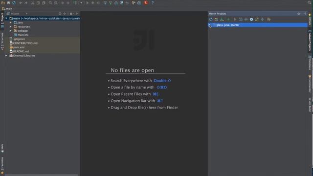 IDE Imports Part 4 - Java Mirror with IntelliJ смотреть онлайн