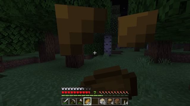 Minecraft BEES Become Scary At NIGHT... смотреть онлайн
