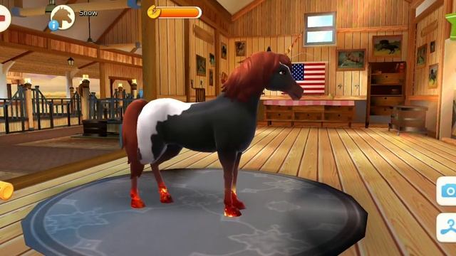 Horse Haven World Adventures [ 12 ] ~ Много новых лошадей