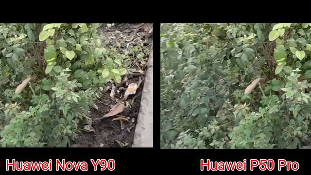 Huawei Nova Y90 Vs Huawei P50 Pro Camera Test смотреть онлайн