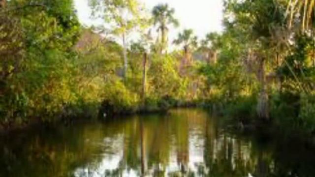 Ориноко смотреть онлайн