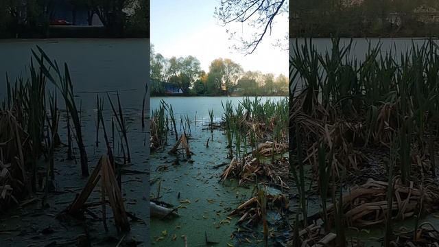 Лучшая рыбалка этого года!