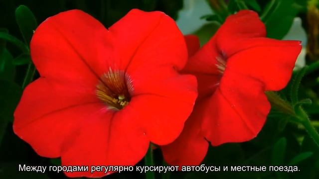 О курорте Милано Мариттима в Италии: достопримечательности, виды отдыха смотреть онлайн