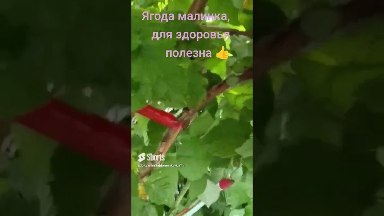 12 июля 2024 г. смотреть онлайн