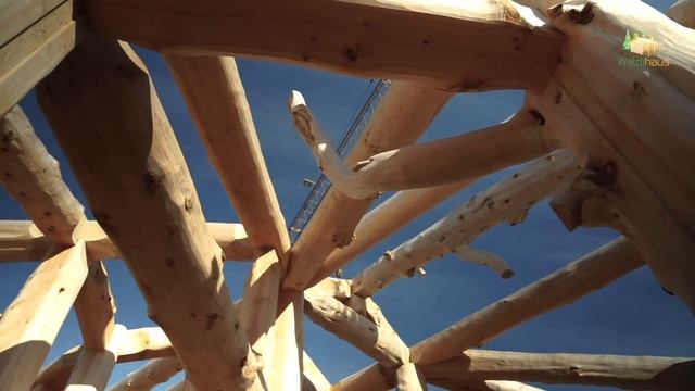 Post and Beam. В гости к "Позинпроект" смотреть онлайн