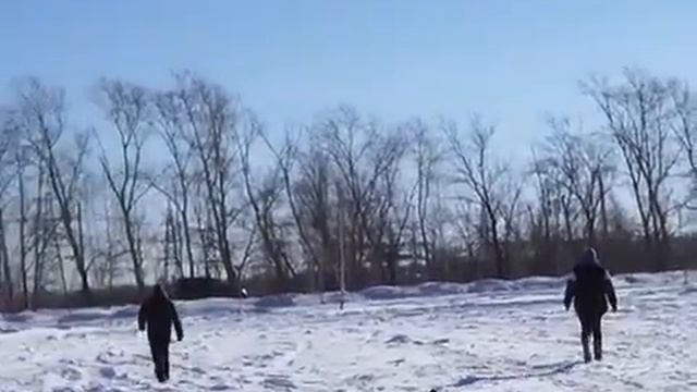 Седой Урал Юлий Цезарь 1 место ОКД+ЗКС (раздел ОКД) 23.02.2019. Соревнования ВЕО vs НО смотреть онлайн