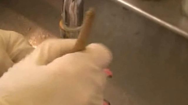 Альгинат смотреть онлайн