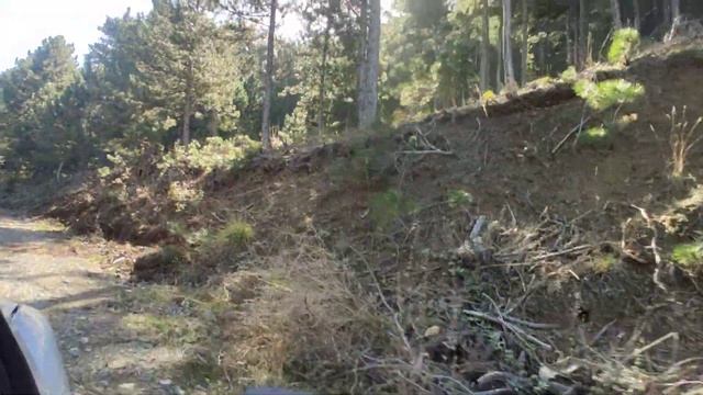 04 kasım 2023 çıntar buldum смотреть онлайн