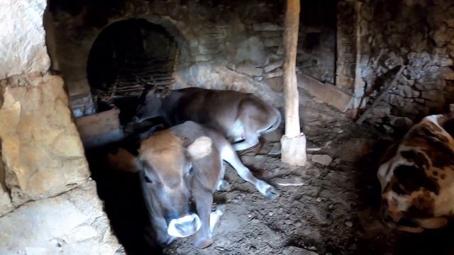 Удивительный Дагестан: самый древний город России, Сулакский каньон и аулы-призраки. смотреть онлайн