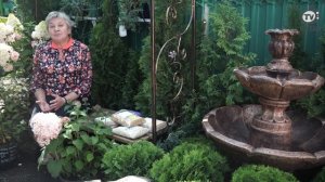 Растения которые ОЧЕНЬ Любят Кислые Почвы ? Цветы для кислой почвы ? Советы От Хитсад ТВ