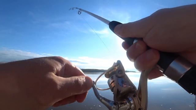 Рыбачу на Донки Крокодилы!Первый Летний Выезд. смотреть онлайн