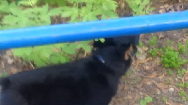 Дружба крепкая очень нам нужна смотреть онлайн