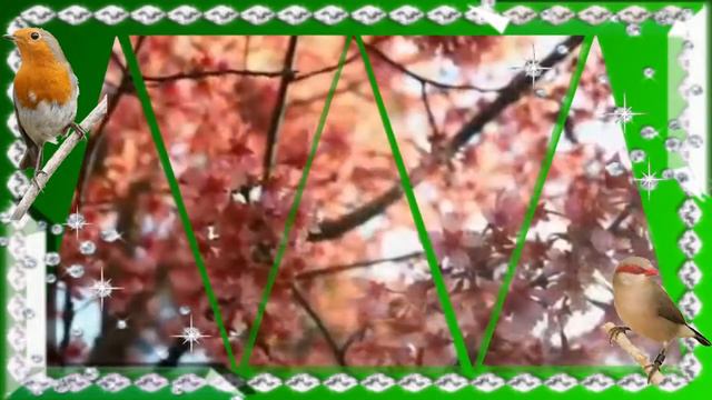 Пробуждение Весны! Spring Awakening! смотреть онлайн