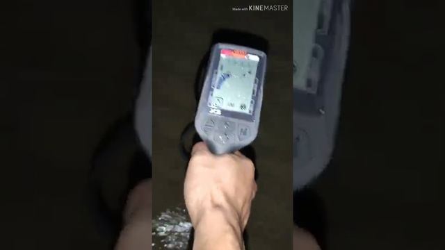 NMD Quest X5 (+Raptor 11x9.5 Coil) Metal Detector Saltwater Wet Beach Test (English Sub) смотреть онлайн