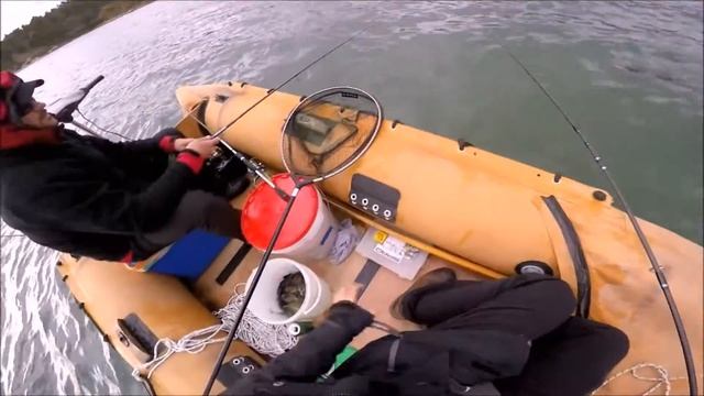 Cuttlefish Fishing смотреть онлайн