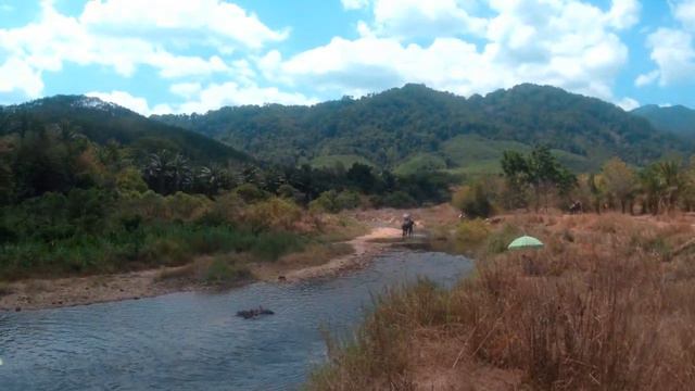 Спуск по реке на плотах.Катание на слонах .Храм обезьян.Пхукет смотреть онлайн