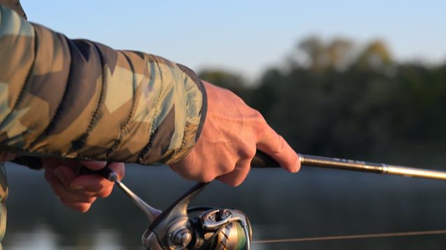 5,4K-видеосъёмка на Nikon Z 6III смотреть онлайн