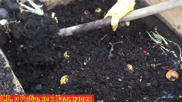 Как разводить червей для рыбалки.Разводим червей у себя на участке.Разводим червей в компостной яме смотреть онлайн