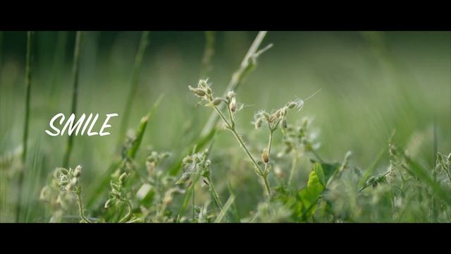 ? Sony A7C 4K Cinematic - Powerful Words смотреть онлайн