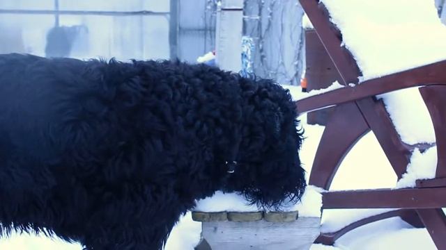 Лева ? катается на санках, лепит куличики из снега