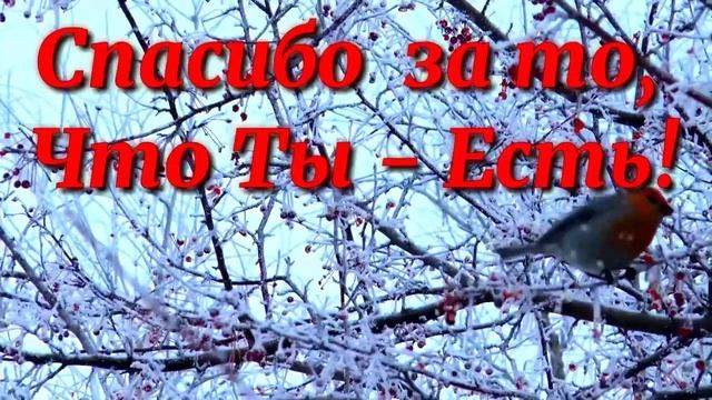 Самые красивые слова благодарности Подруге ! смотреть онлайн