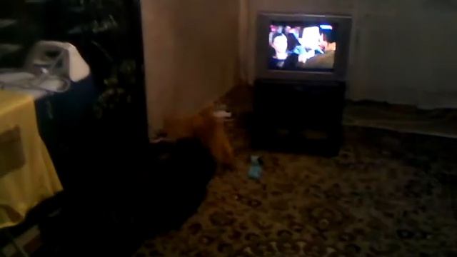 Котокувырок смотреть онлайн