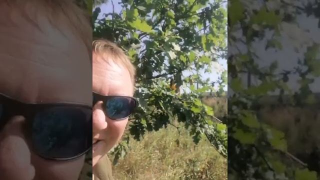 СУББОТА /ВЕНИКИ /БАНЯ смотреть онлайн