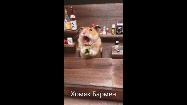 Прикольные фото хомяков смотреть онлайн