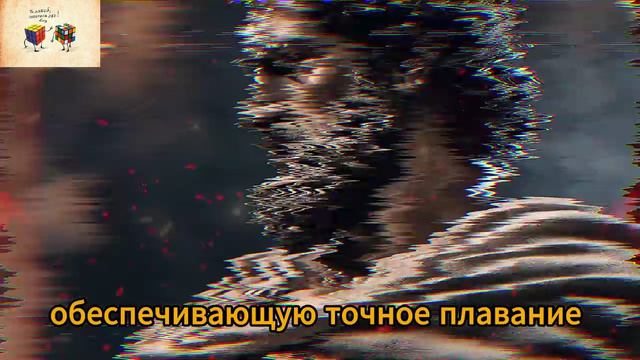 Сила МОЛЧАНИЯ_ 7 преимуществ, которые вам нужно знать смотреть онлайн