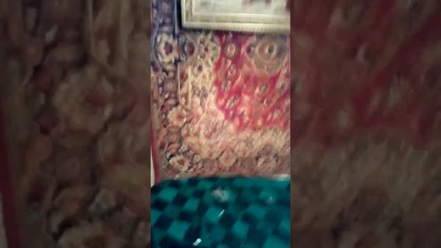 Крыса у сваих крадет смотреть онлайн