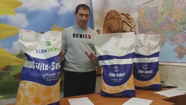 Семена для Юга Украины ЕС САКСОН. Подсолнечник устойчивый к гербициду гранстар 0957797888 смотреть онлайн