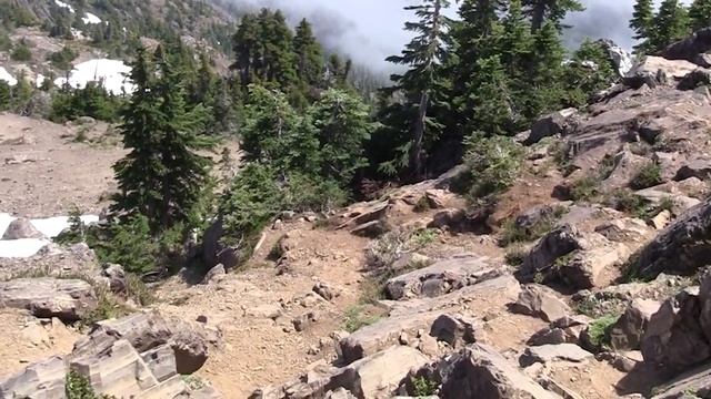 Hiking the Mt Ellinor Summer Trail VROG смотреть онлайн