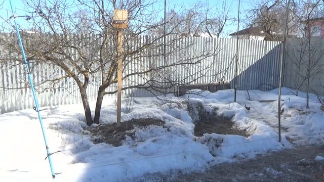 Ловля певчих птиц ЩЕГЛЫ И ЧИЖИКИ смотреть онлайн