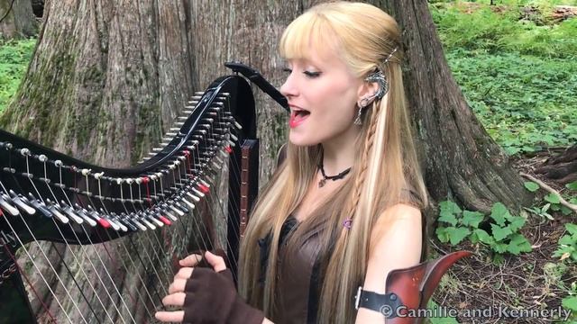 The DRAGONBORN COMES (Skyrim / Oblivion) - Harp Twins