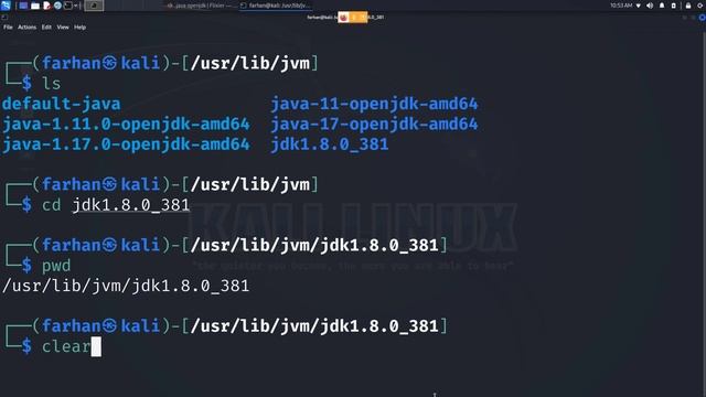 How to Install JAVA OPENJDK 8 on Kali Linux смотреть онлайн