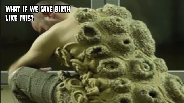 Surinam Toads!  Trypophobia Reproduction ???